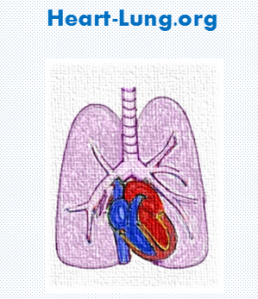 Heart-Lung