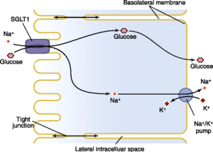 Screen Shot 2015-02-10 at 7.31.54 PM